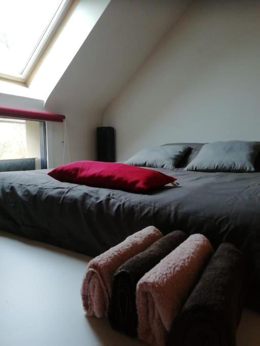 Maison Familiale Sur La Cote D'Emeraude ลองซิเออ ภายนอก รูปภาพ